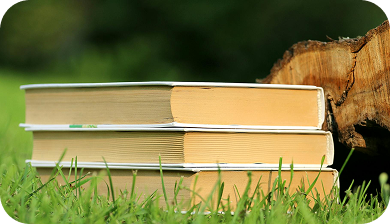 fiction writing services