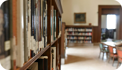 childrens book cover design